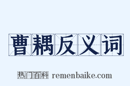 曹耦反义词是什么意思的图片